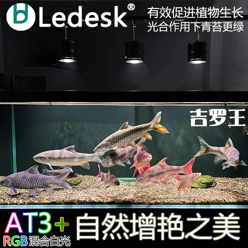 乐迪吉罗增艳筒灯100W150W全光谱增色显色爆藻灯 原生鱼溪流缸