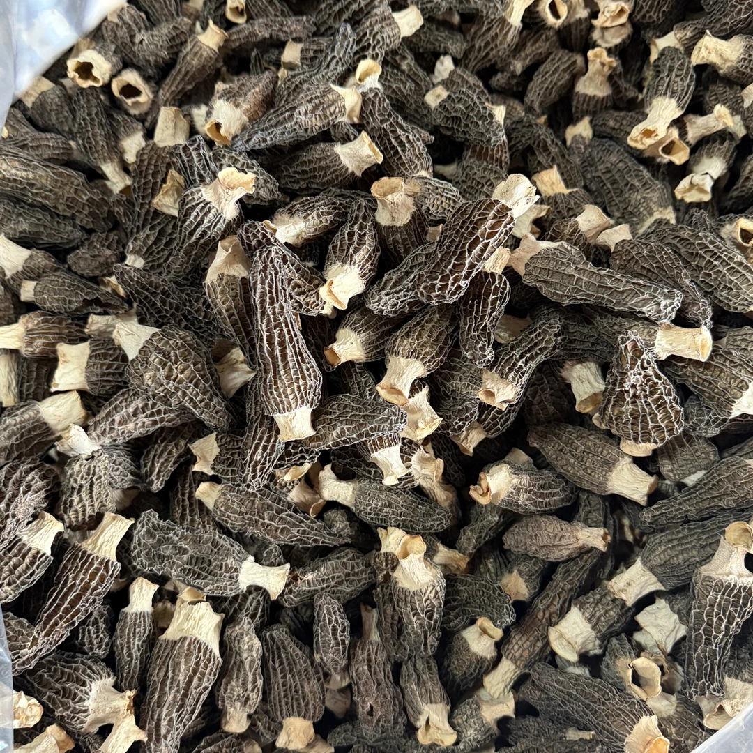 新【4-6公分】薇安家新货头茬细纹肉厚羊肚菌