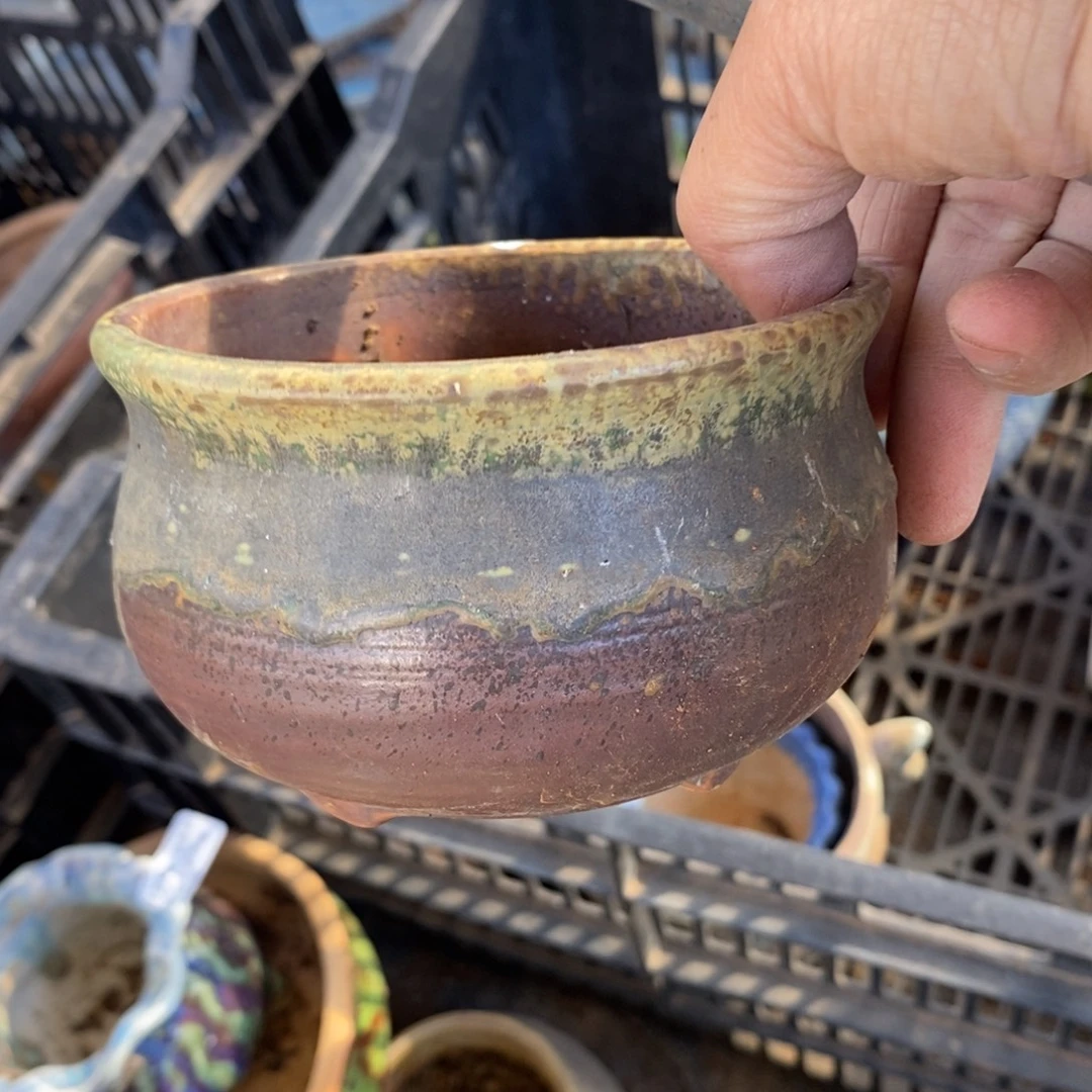 239号多肉盆口径10