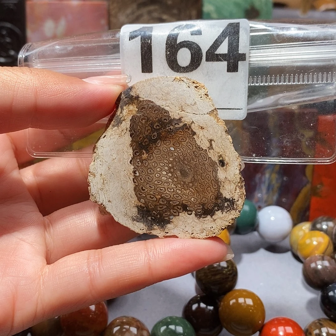 未镶嵌天然北票硅化玉吊坠硅化玉