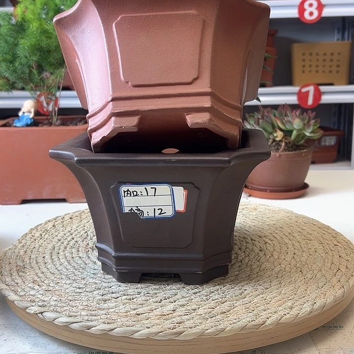 紫砂花盆蛇年大吉