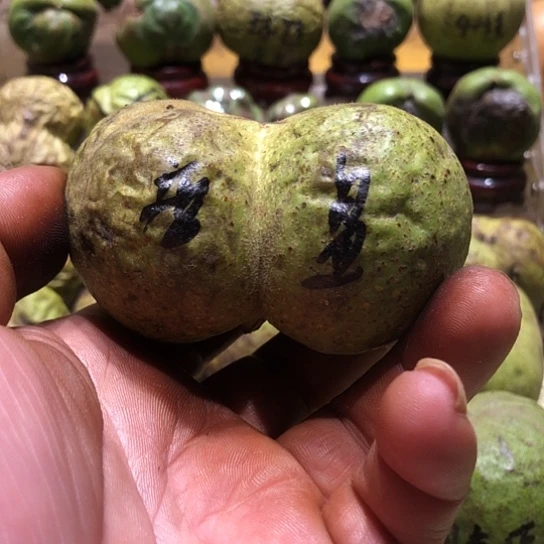 桃核吊坠核桃核桃