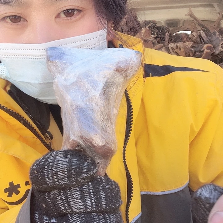香榧木麻梨的小可爱来
