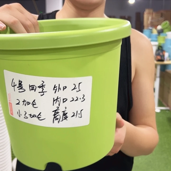 特价4号口25高21.5果绿色8支无托