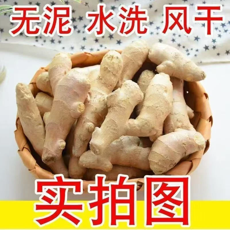 山东高山老黄姜辛辣十足姜味浓郁新鲜现挖嫩姜又香又辣