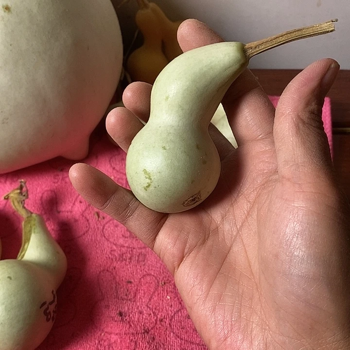 哼****青皮腰子葫芦手把件
