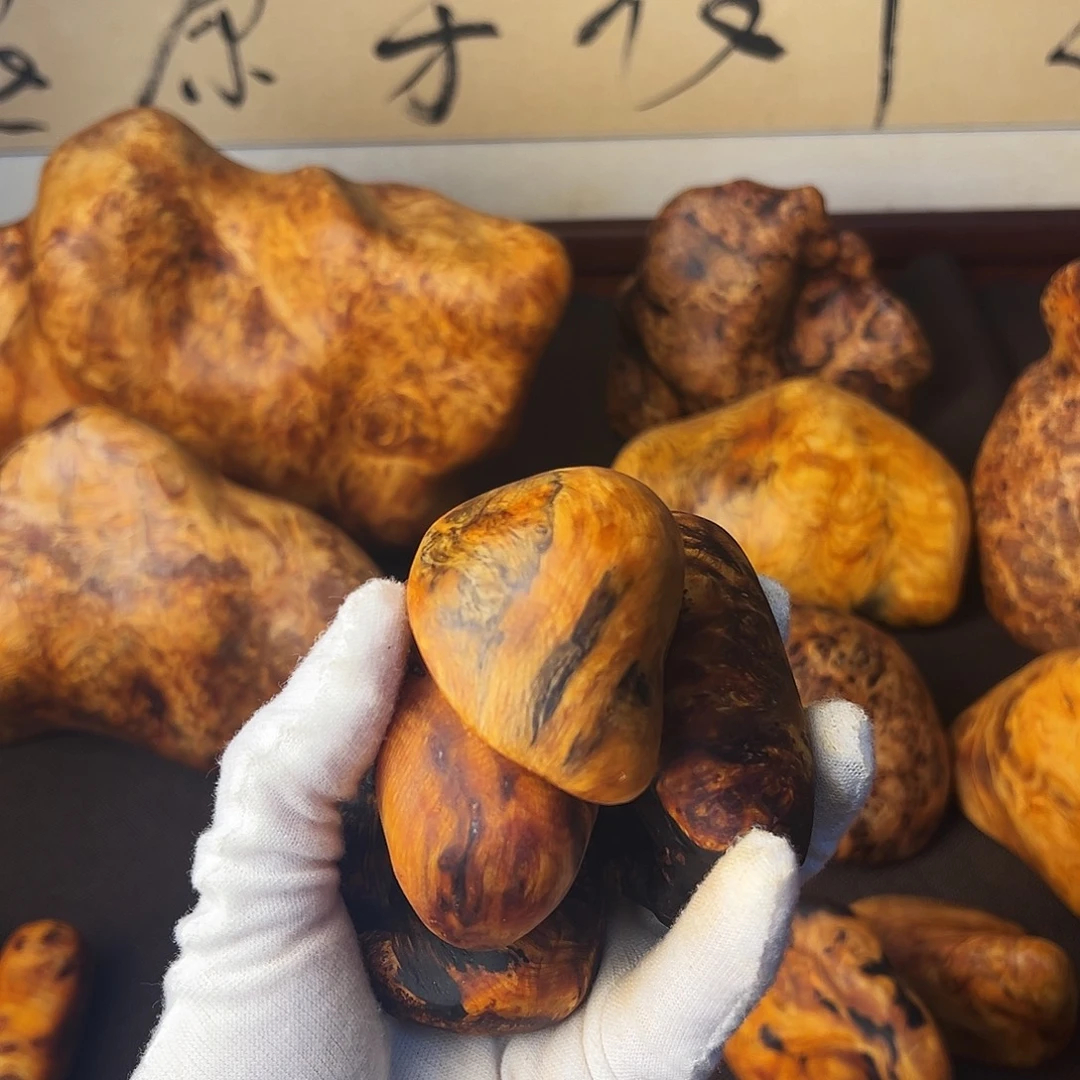 王***赢琥珀木长白山琥珀木