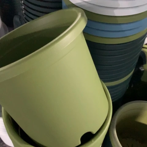 树脂5加果绿无托3个