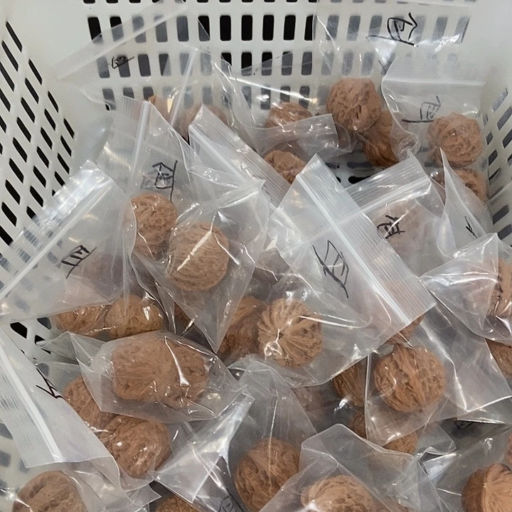吊坠文玩核桃血玲珑尖瑕疵