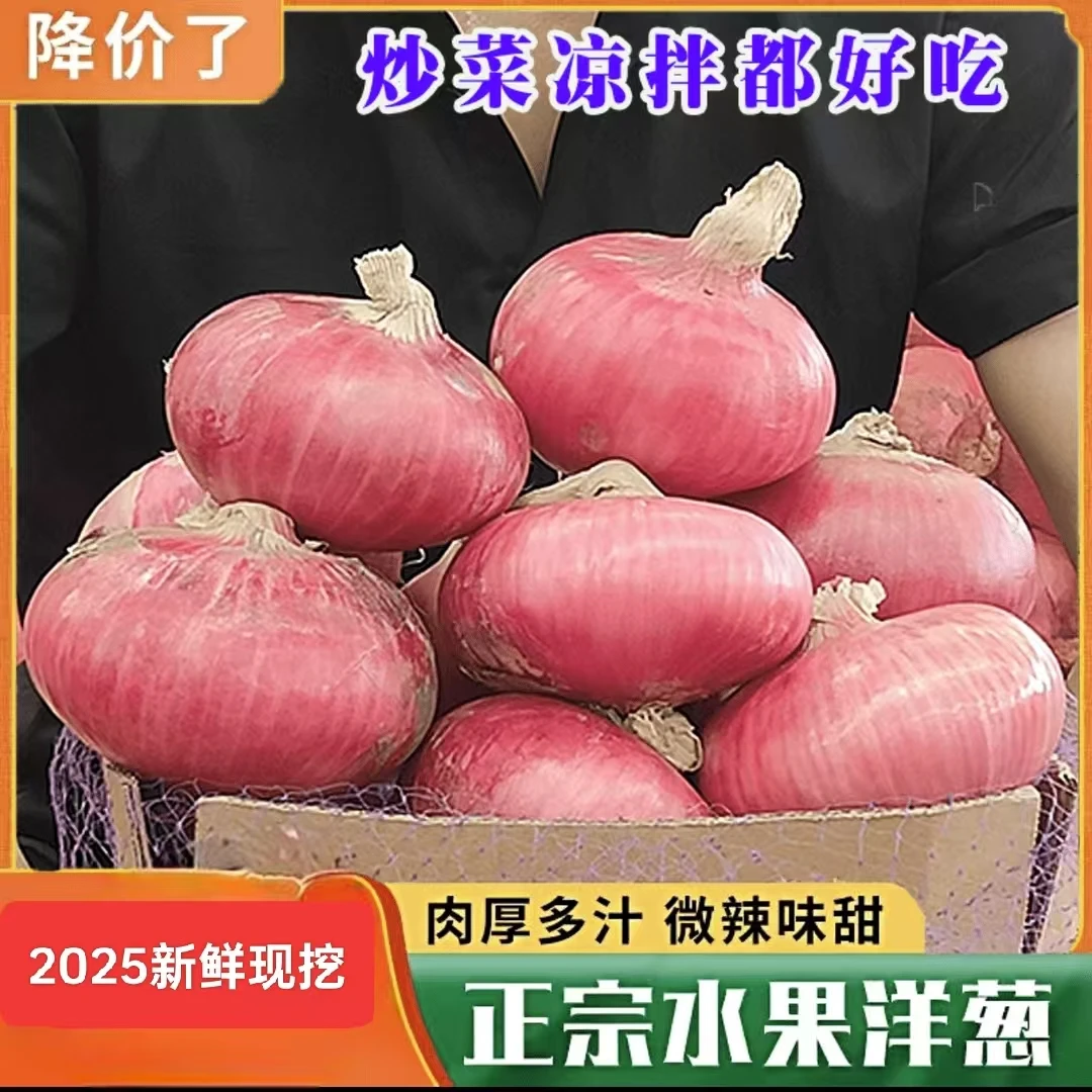 2025年山东洋葱新鲜5斤洋葱微辣生吃二红扁洋葱产地直发