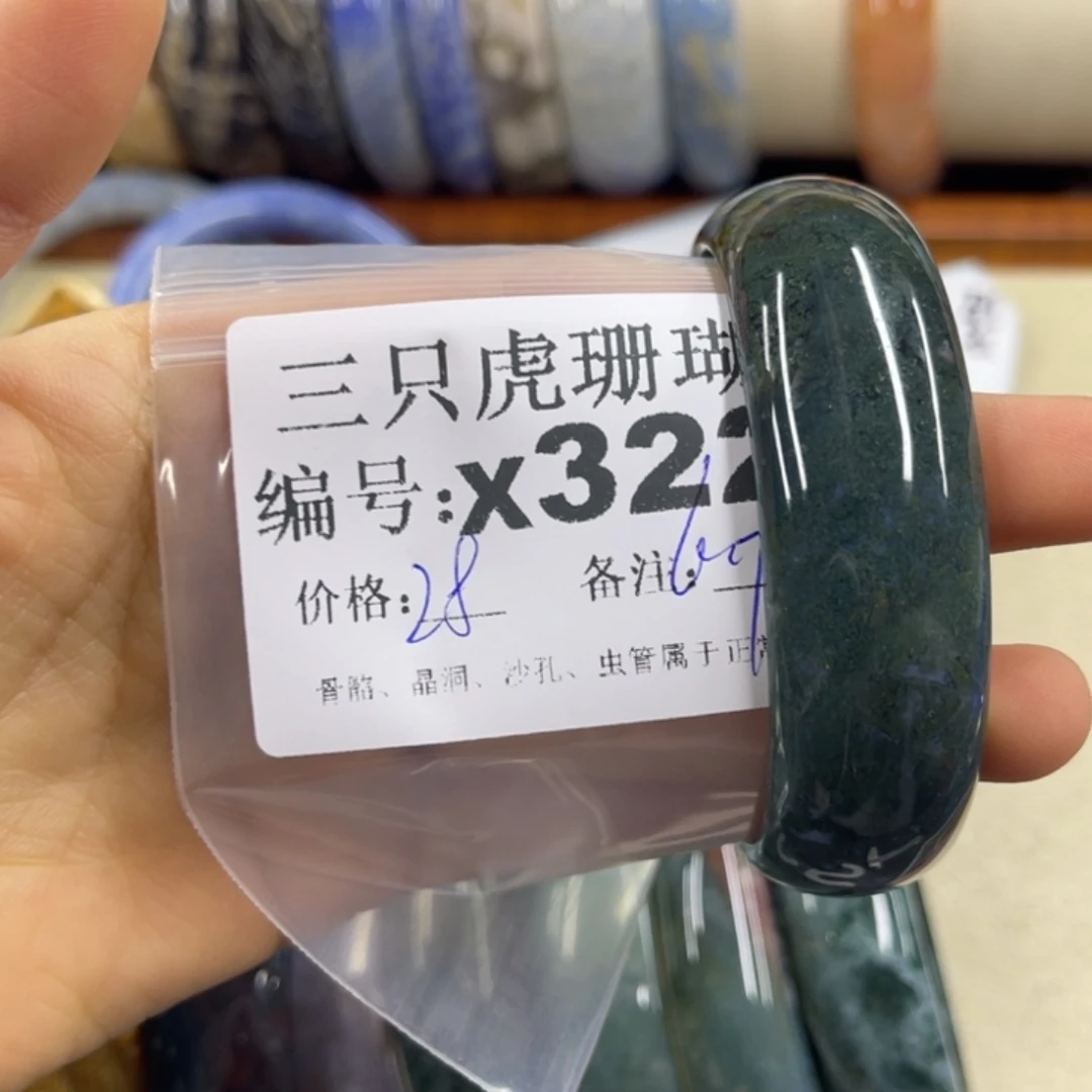 青***.硅化珊瑚（珊瑚玉）未镶嵌h