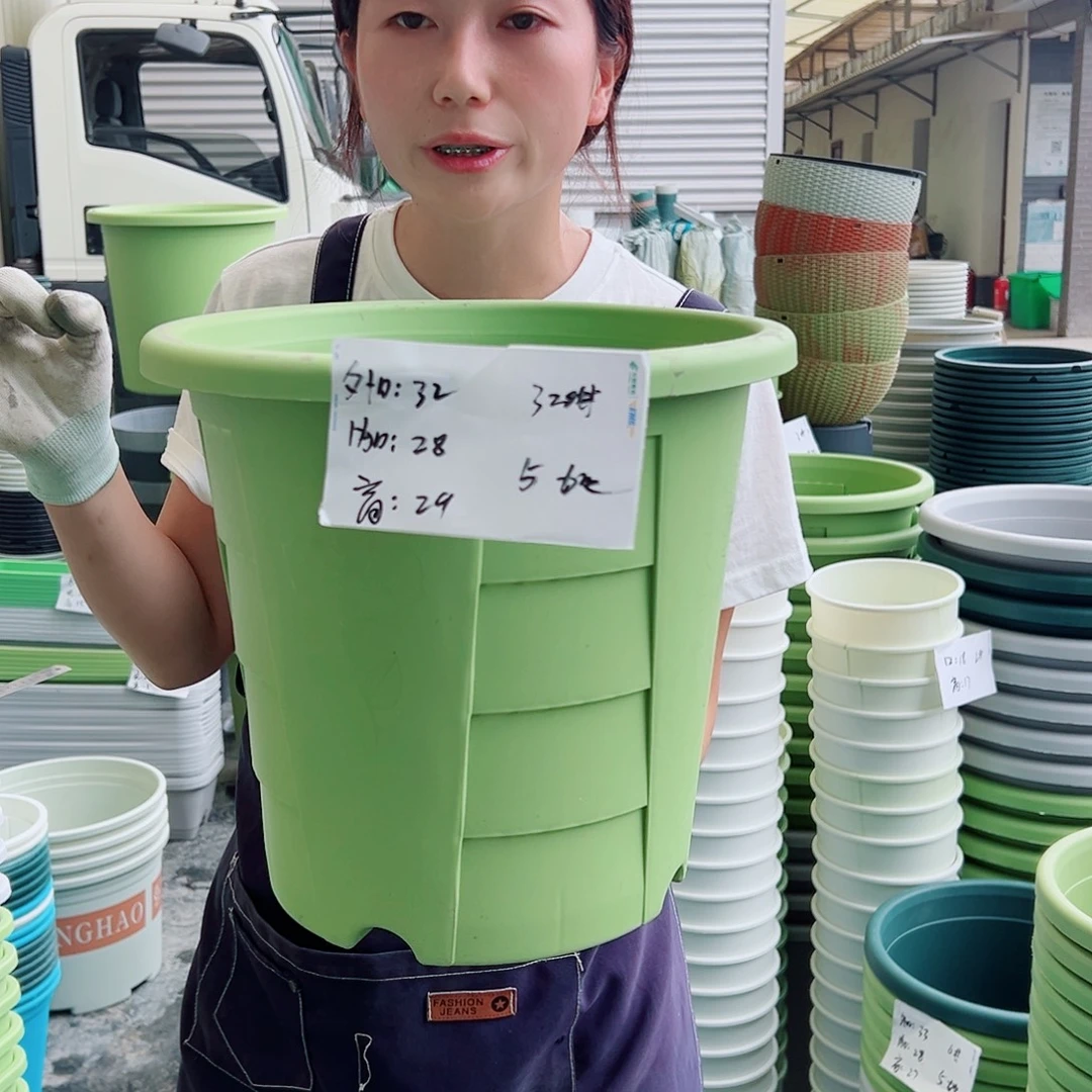 玫瑰盆320#果绿5个无托