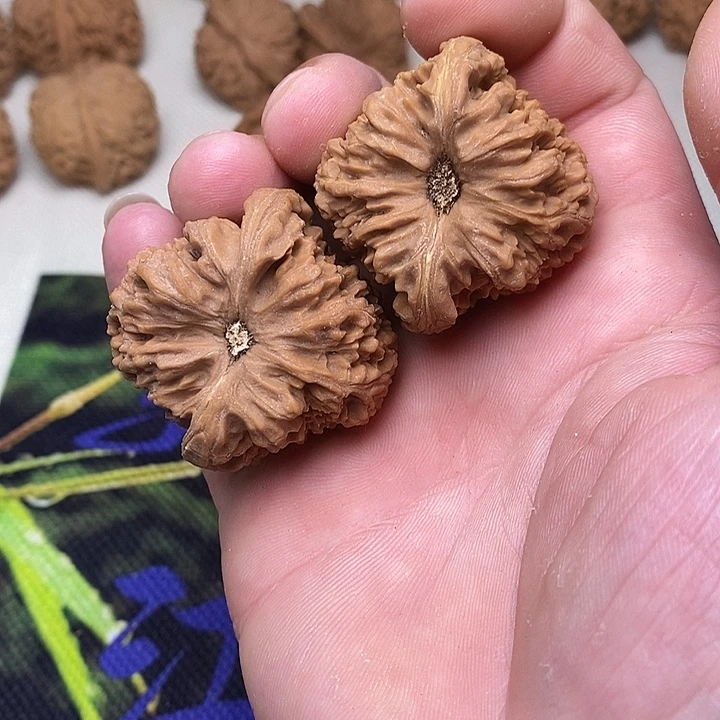 小***猪文玩核桃吊坠4.4.4.4.4