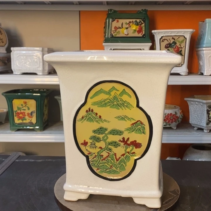 红陶8**蔡花盆里的小猫咪们