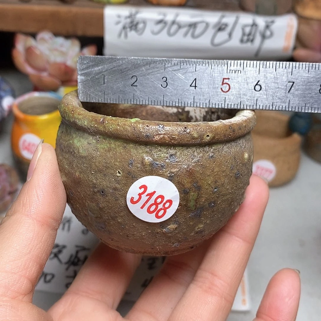红陶@***亩拍5送一个小