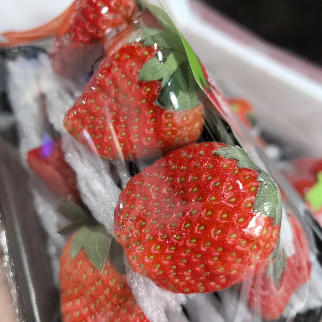 奶油草莓（2025年新货）一盒