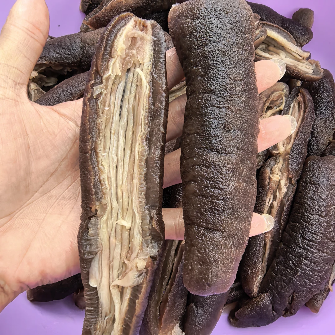 海南本港野生新鲜黑海参黑参非干货炖汤炖肉营养鲜美顺丰包邮深海