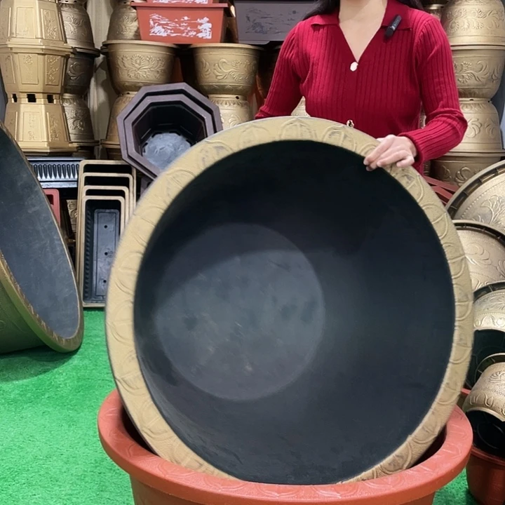 圆盆古铜八零一个