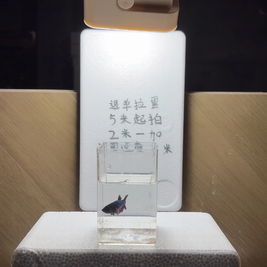 海水鱼鱼万泽水族