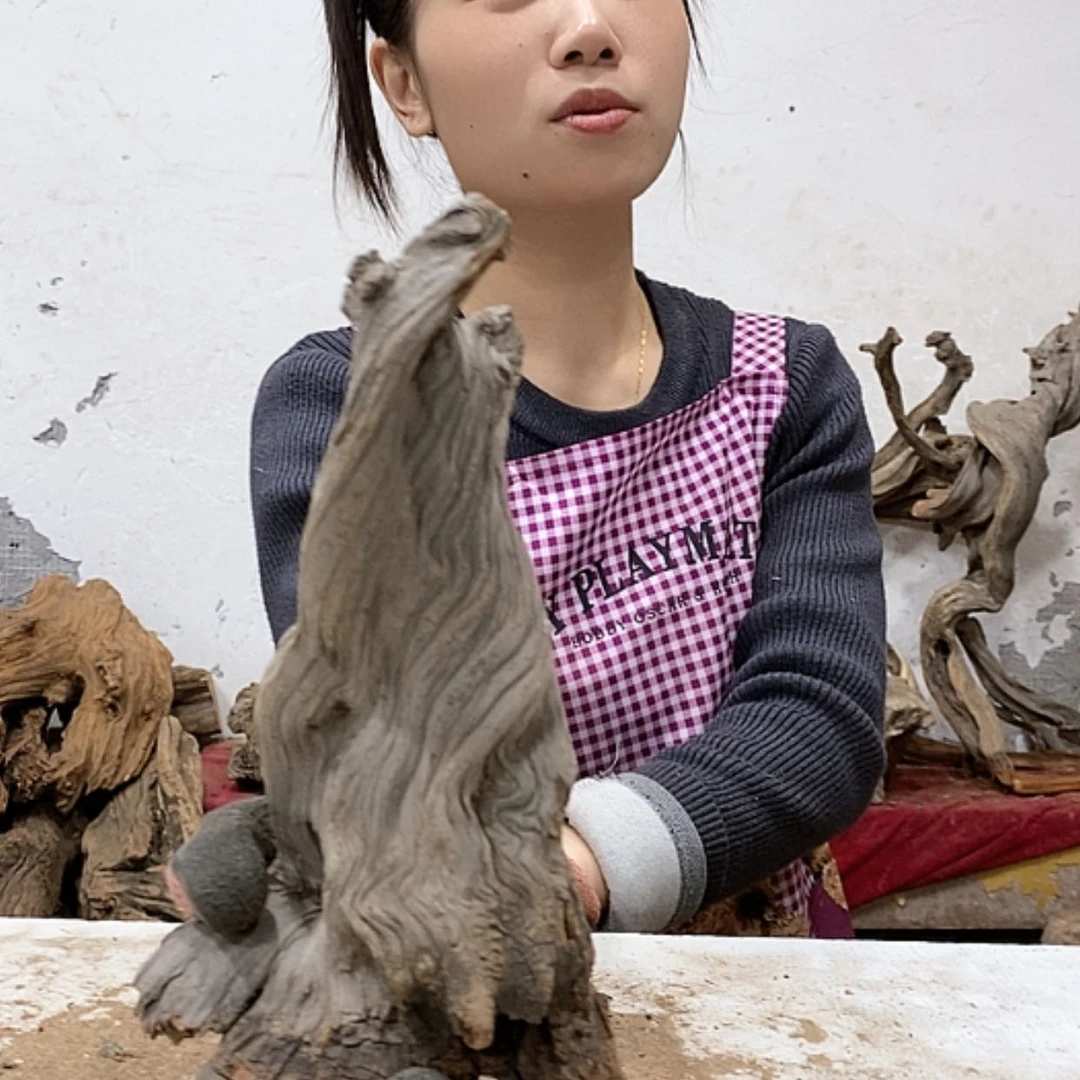 【闪购商品】柏木九*。我们都是好孩子