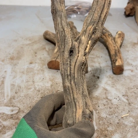 大果紫檀（缅甸花梨）淡**衫