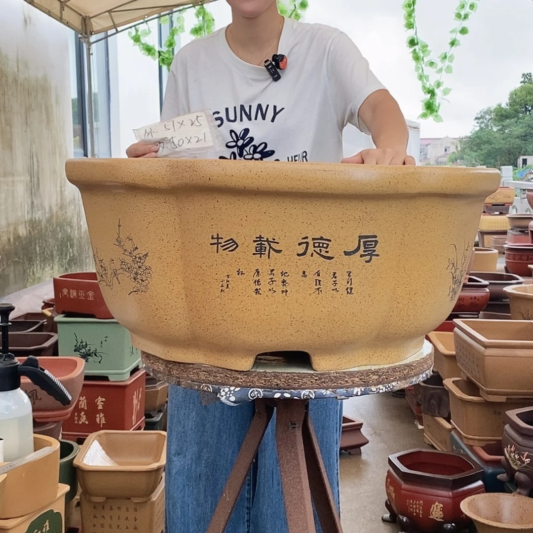 紫砂花盆紫砂花盆