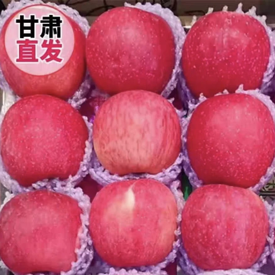 甘肃当季红富士苹果新鲜现摘脆甜多汁整箱（12个）6斤左右包邮