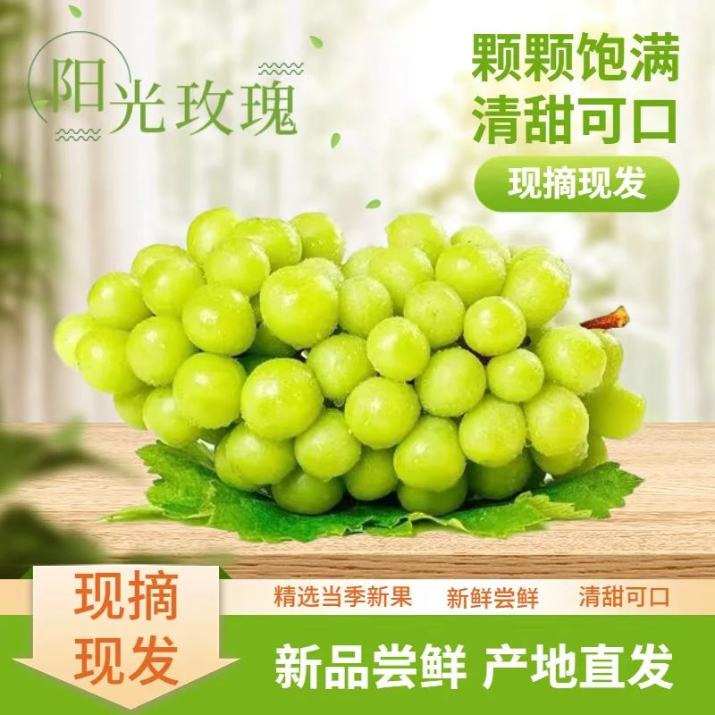 【书记甄选】正宗阳光玫瑰葡萄新鲜应季鲜甜多汁当季现摘现发