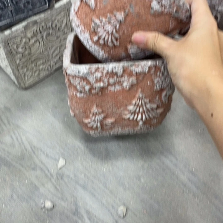 花盆529595 2929292929929