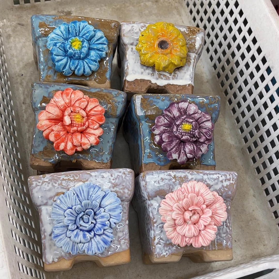 【闪购商品】红陶6个