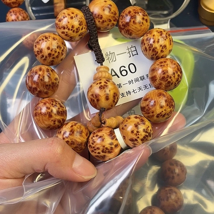 柏木（崖柏）其他村**樹60