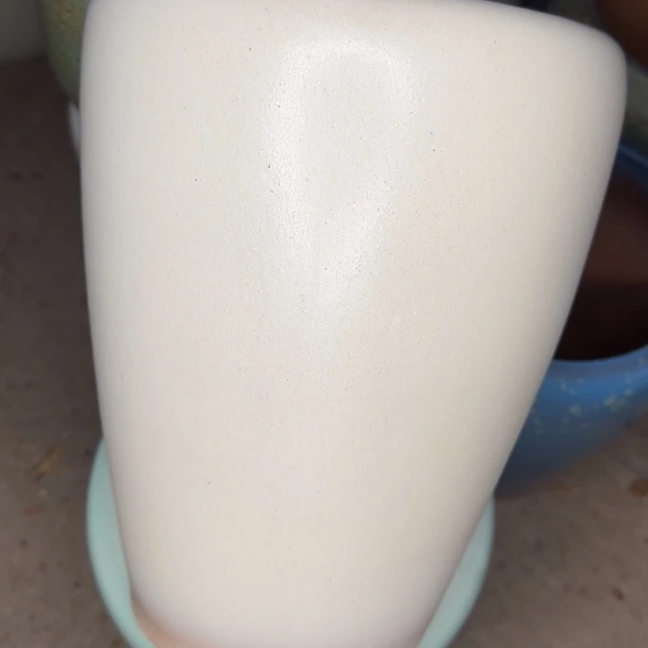 微瑕啦啦啦啦啦啦