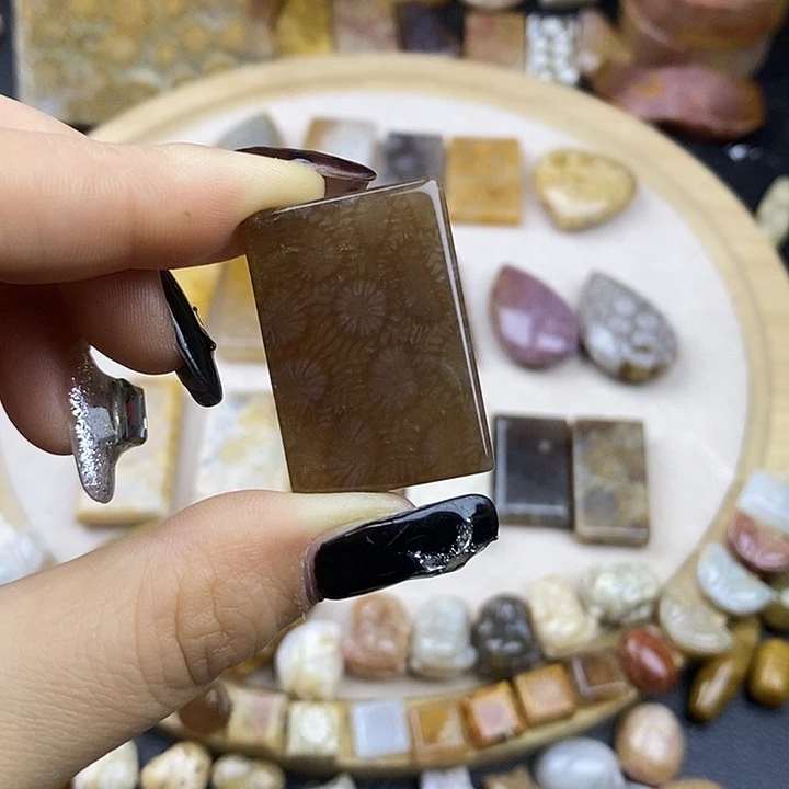 硅化玉未镶嵌颈饰57