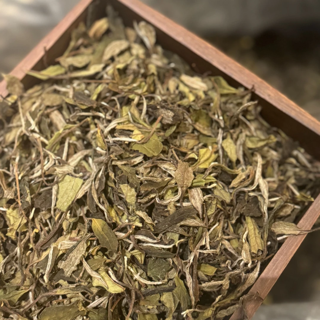 2019年贡眉[日晒贡眉]老树贡眉 馥郁花香春茶福鼎白茶