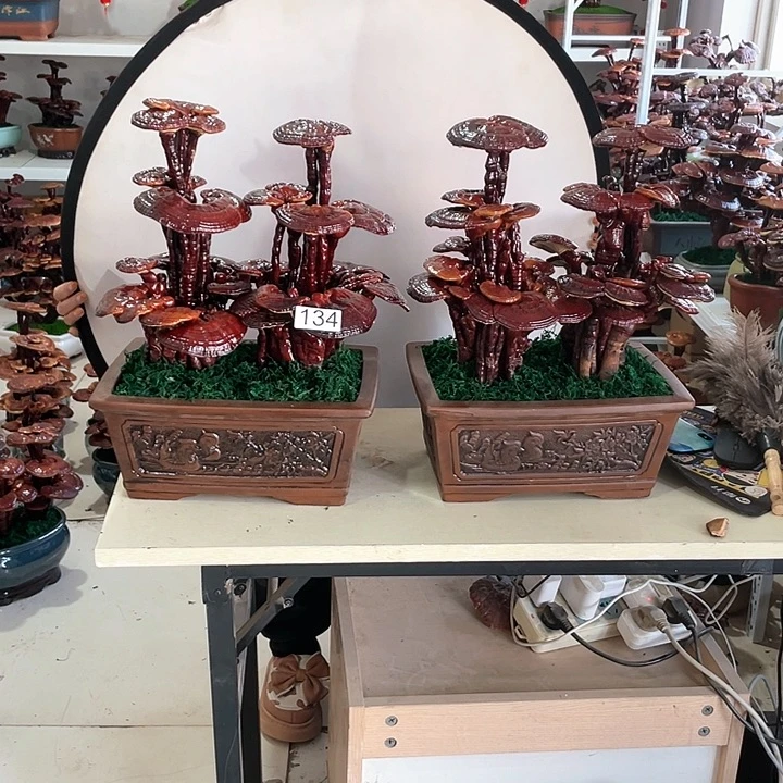 凤**山1348888888888888