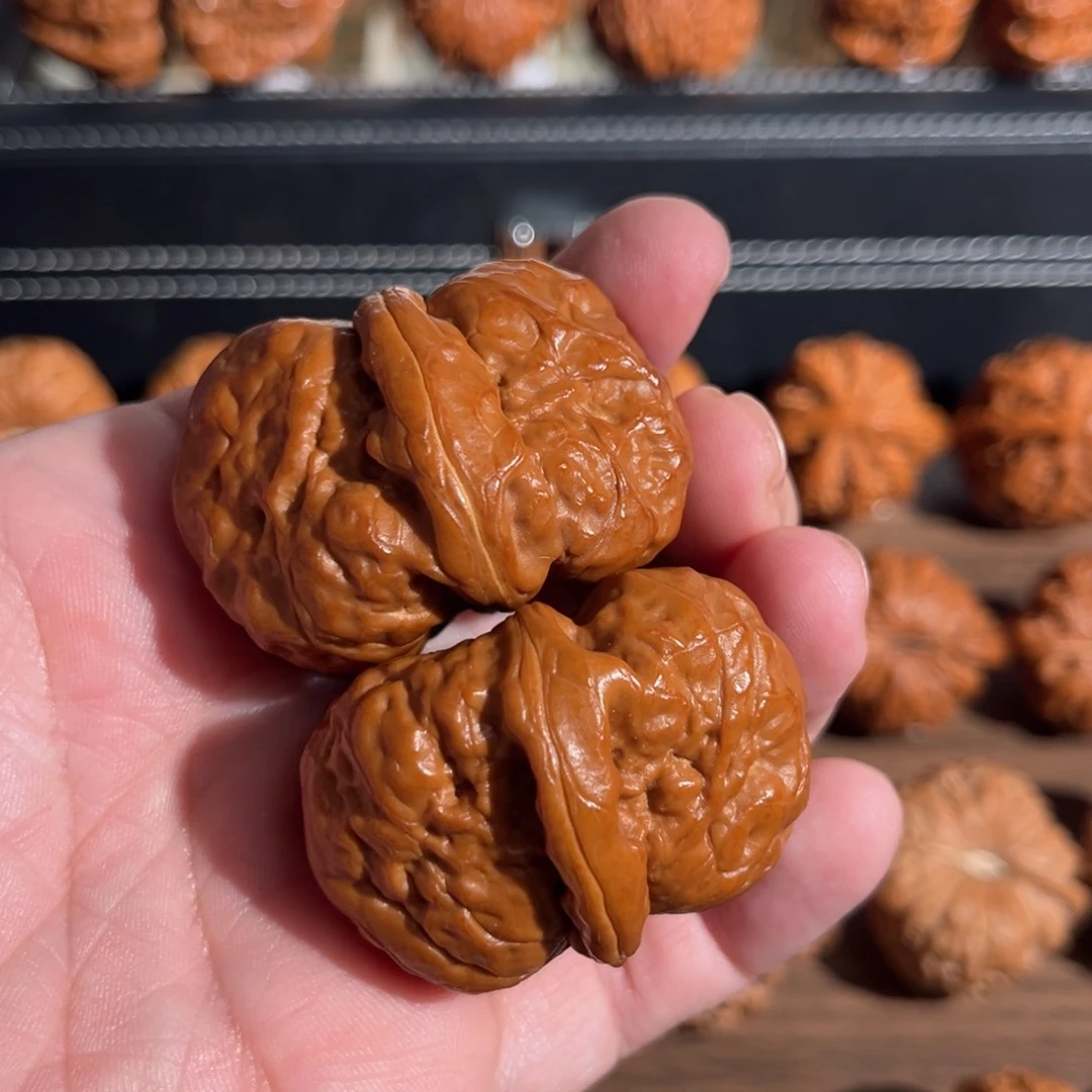 手串/手链核桃边41肚47超级粗棱毕业肉蛙51克