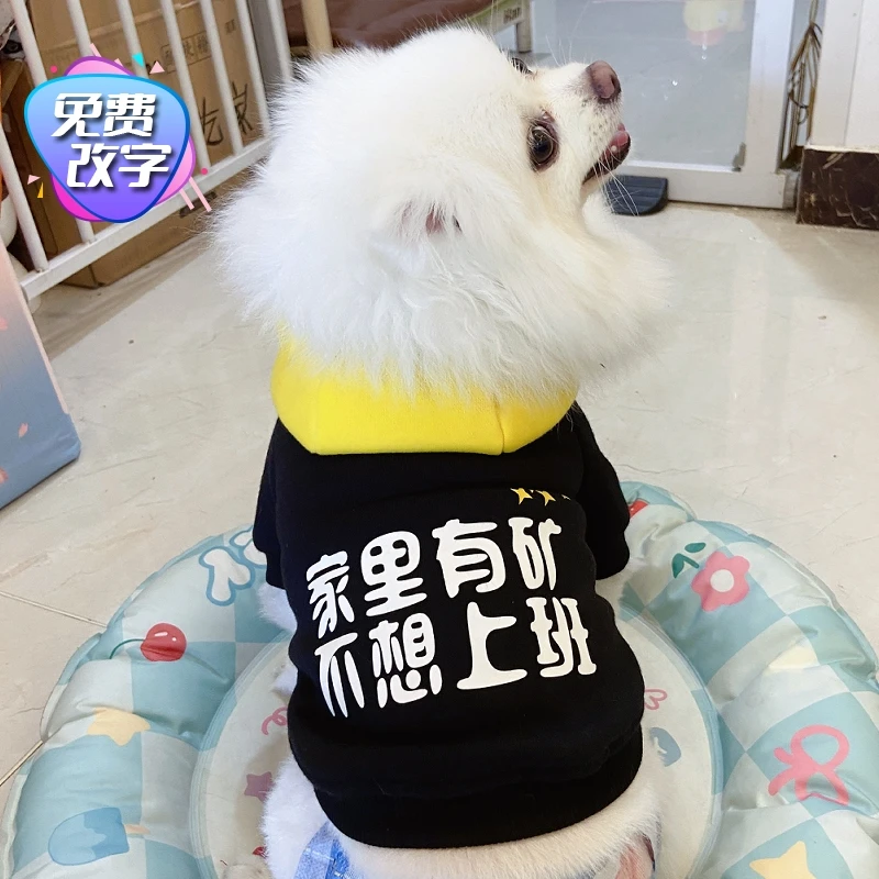 有矿可改字衣服泰迪狗狗帅气博美宠物卫衣小型犬搞笑秋冬文字棉服