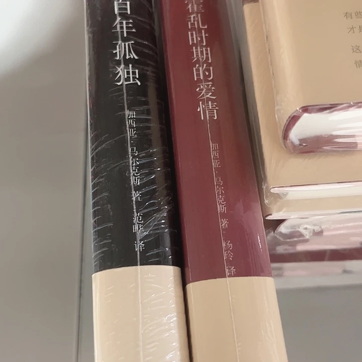 百年孤独，霍乱时期的爱情