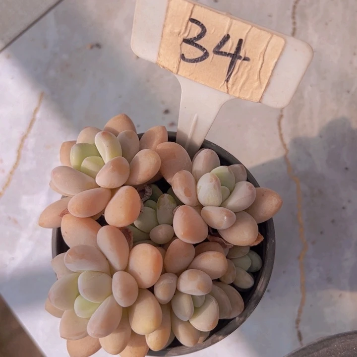 健健康康平平安安