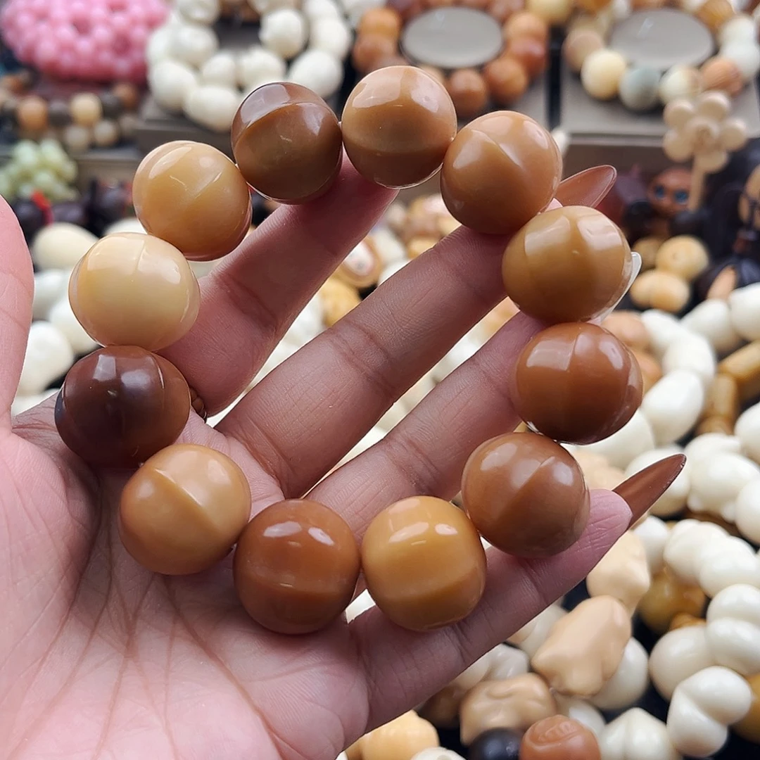 吊坠菩提根/象牙果菩提干磨鲨鱼背八折