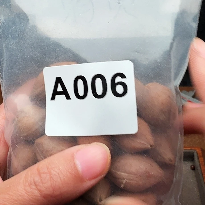 画***富橄榄核手串/手链橄榄