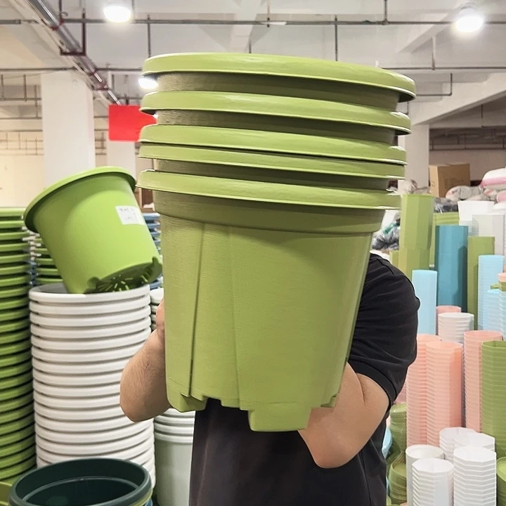 青山口32高28果绿色5个无托