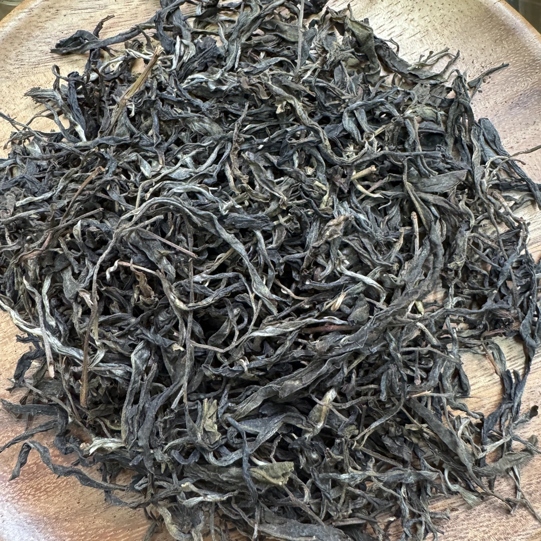 散生茶TY  2021年易武头春古树散生茶