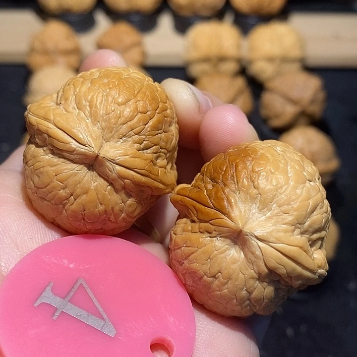 核桃大西瓜37尺寸核桃