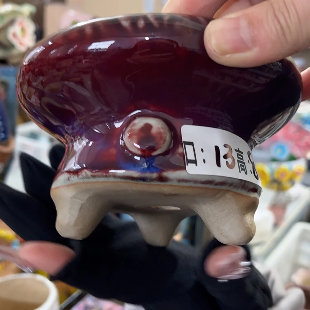 【闪购商品】红陶福利