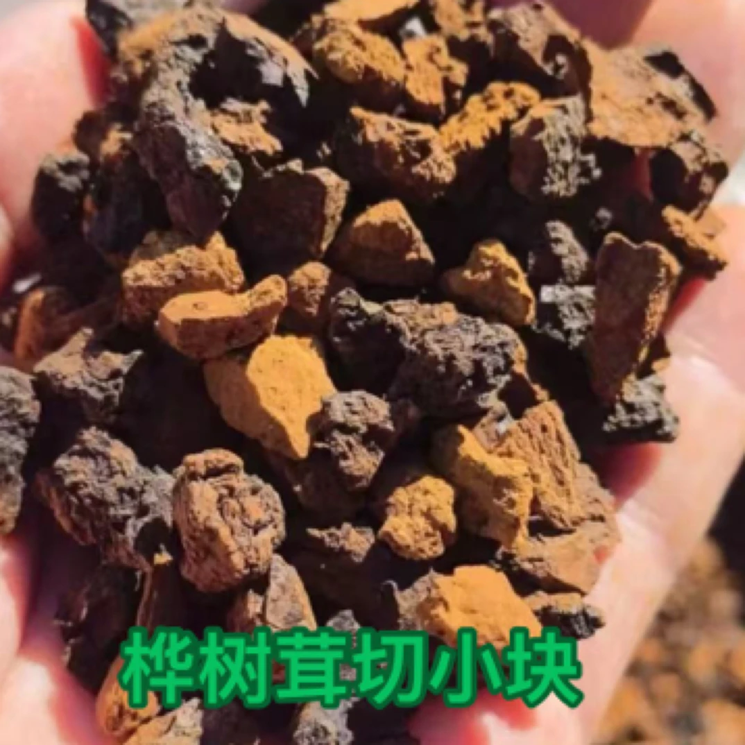 高山特产 山货 精选优质桦树茸净重250克非枸杞