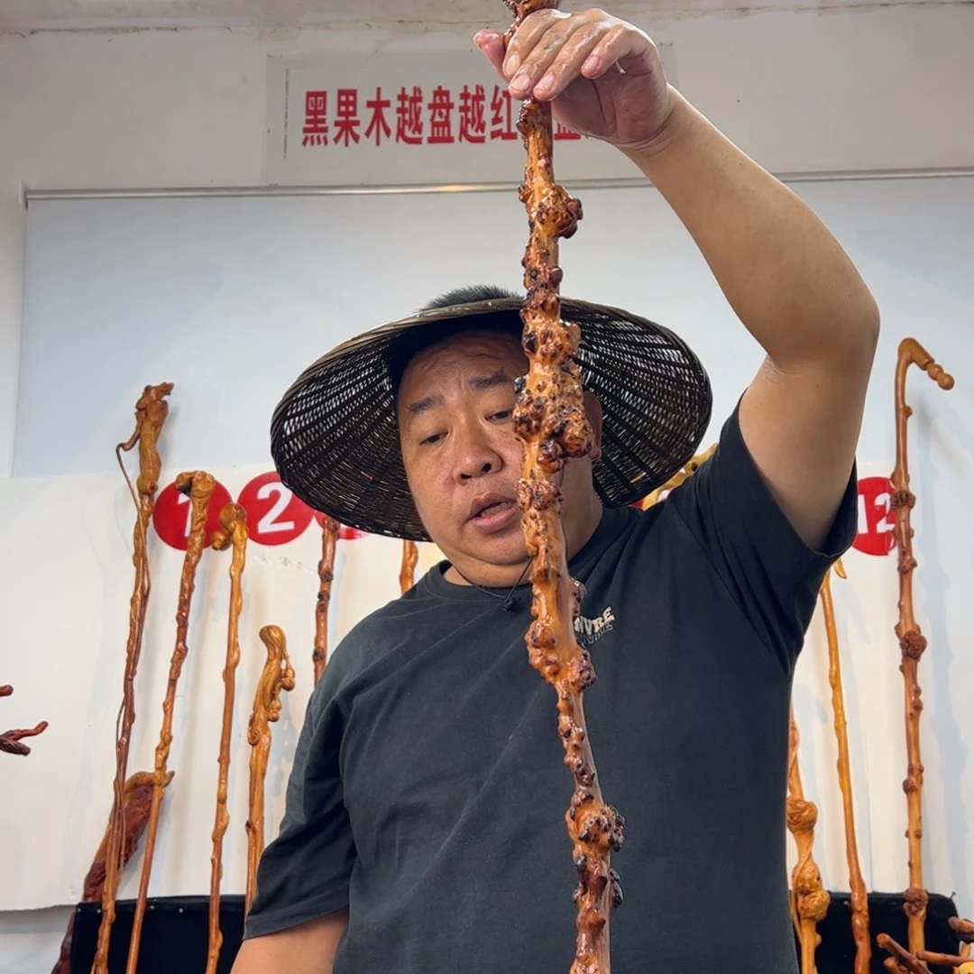 待***宾其他黑果木黑果木109