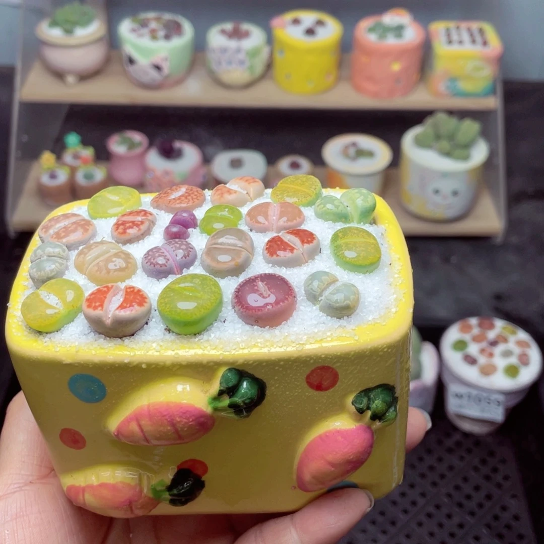 w1061 带盆土发货 -零下地区拍保温箱