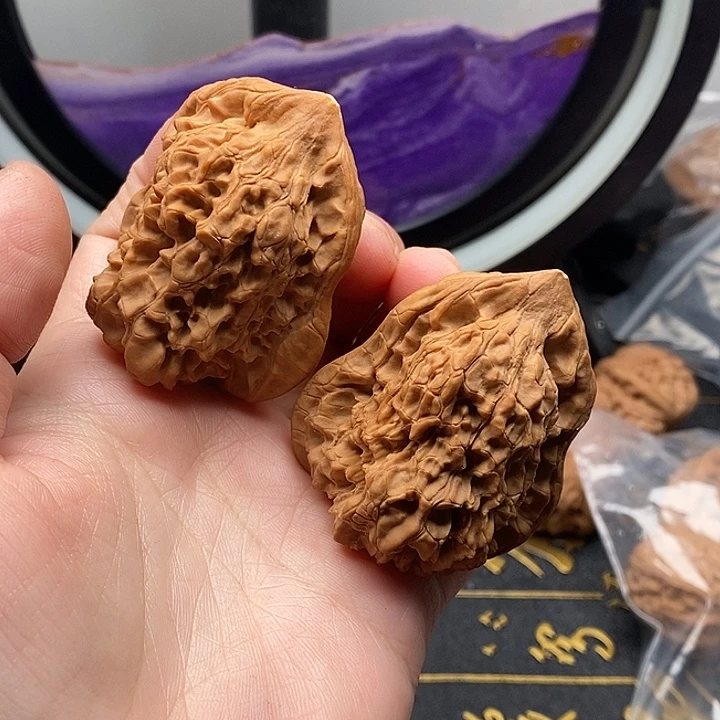 不***翁福禄如花儿地生长了下来