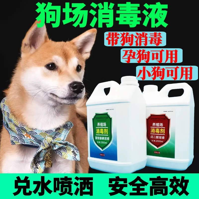 狗舍狗狗专用消毒液戊二醛消毒水带狗消毒喷雾预防细小犬瘟消毒剂